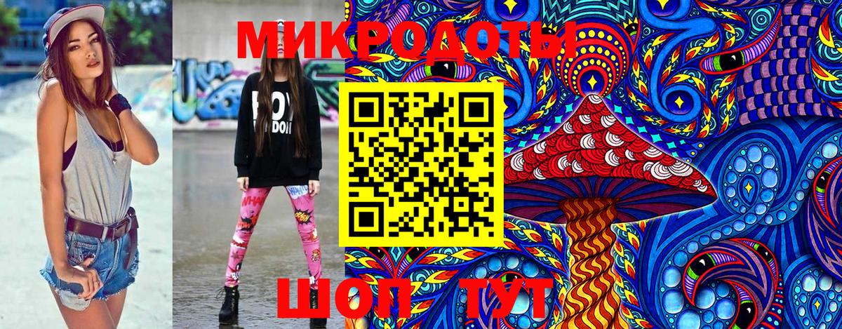 Галлюциногенные грибы Psilocybe Чита