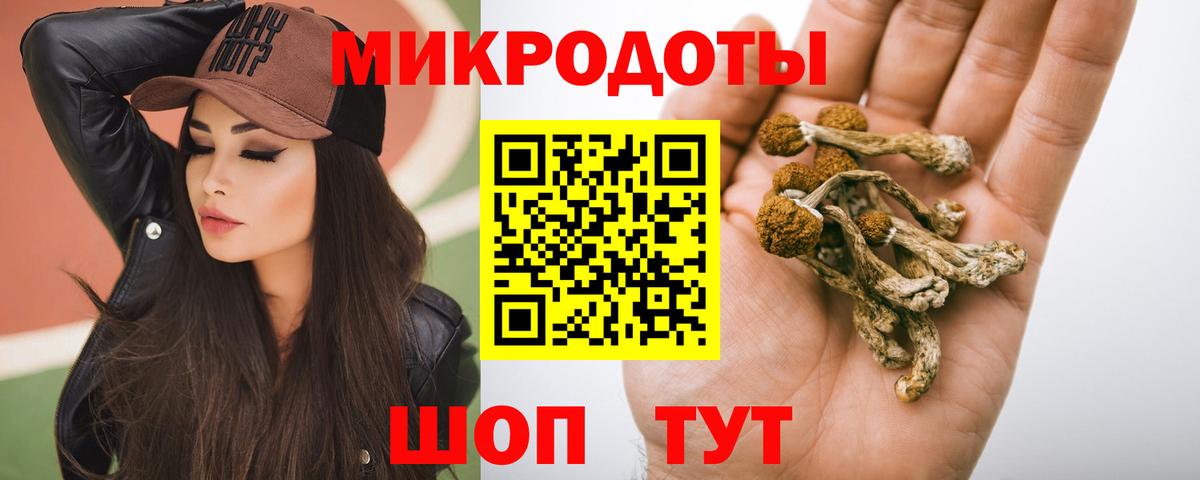 Чита  Галлюциногенные грибы Psilocybine cubensis  Вход с VPN  Псилоцибиновые грибы GOLDEN TEACHER 