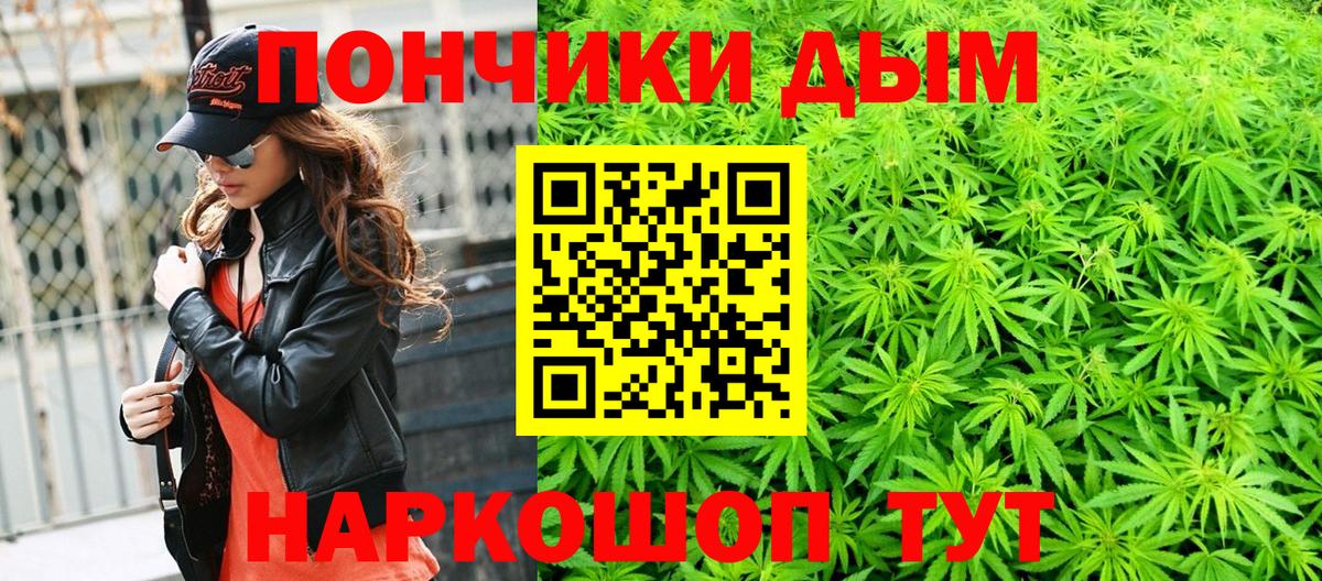 Бошки Шишки семена  Канабис OG Kush  Чита  Вход с VPN  Бошки марихуана план  Бошки Шишки планчик 